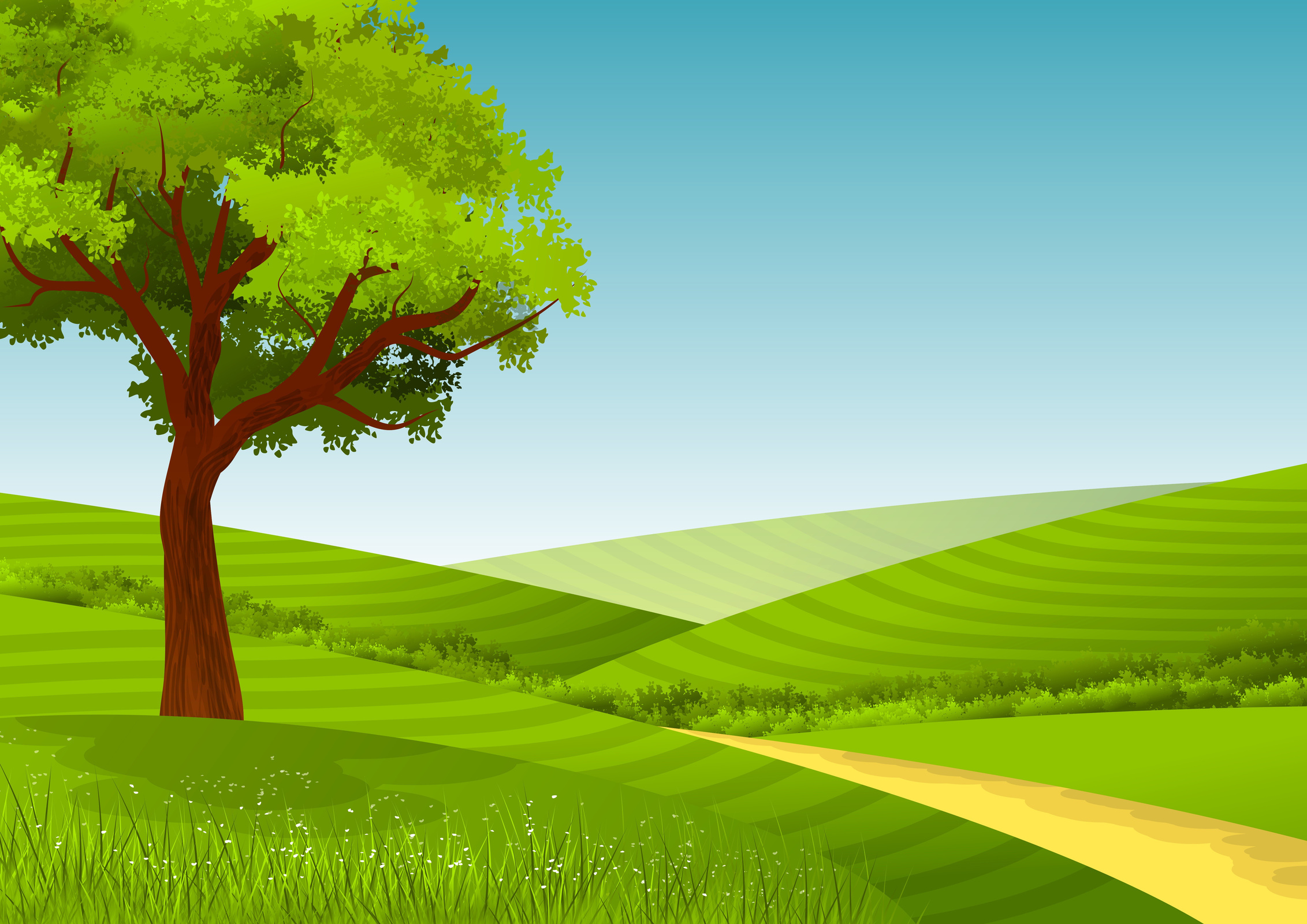 Tree in Grass Hills Illustration